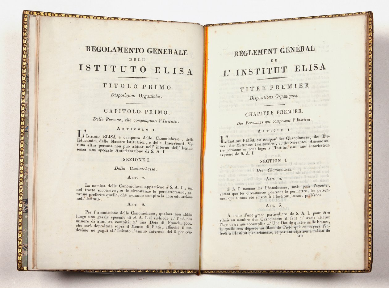 A luccai Instituto Elisa általános szabályzata, kiadva Luccában, 1811. július 14-én (nyomtatott) alkotó: Italian School