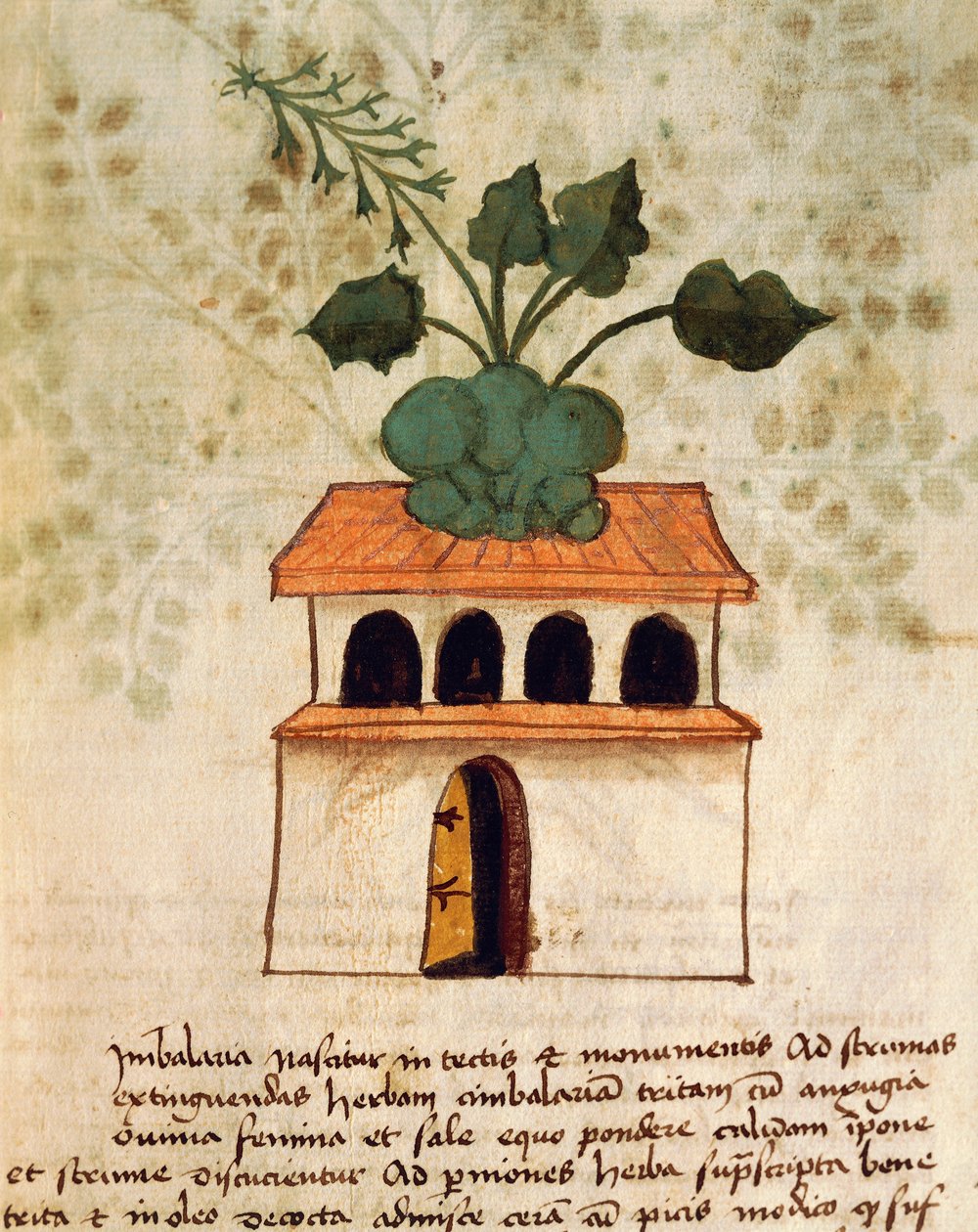 Függő kert alkotó: Italian School