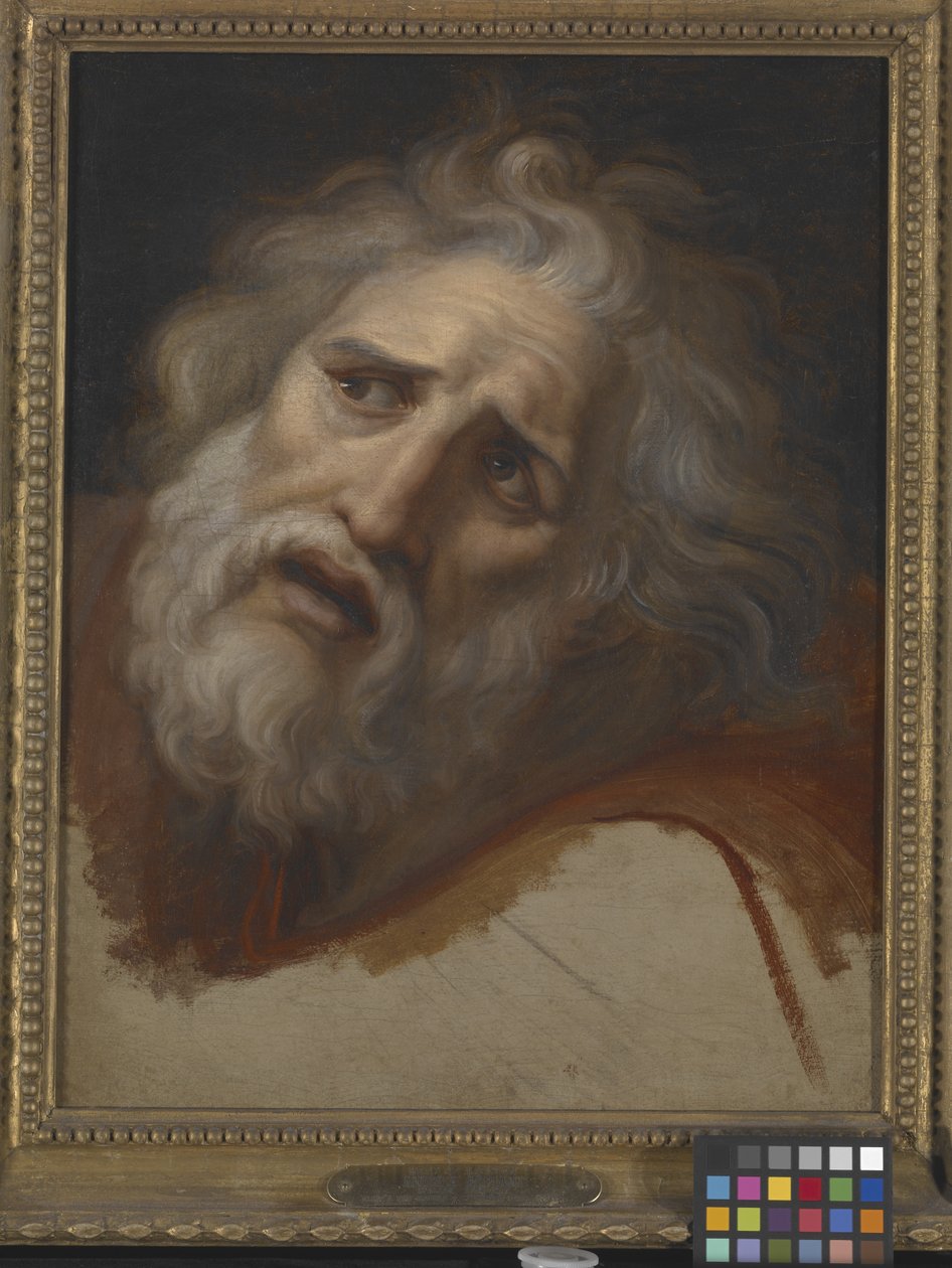 Head Of Laocoon (olaj, vászon) alkotó: Italian School