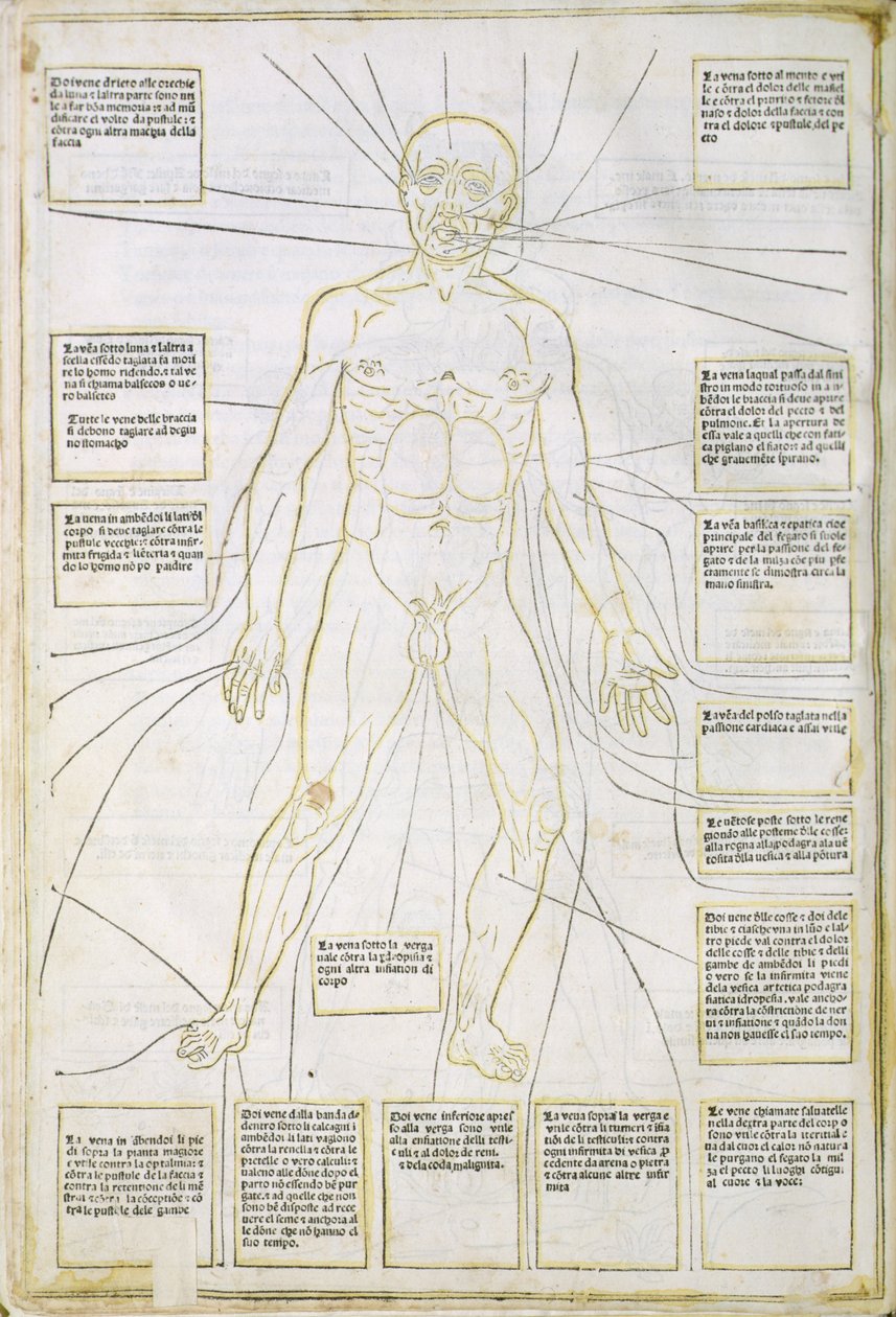 Illusztráció a "Fassiculus Medicinae" Velencéből alkotó: Italian School