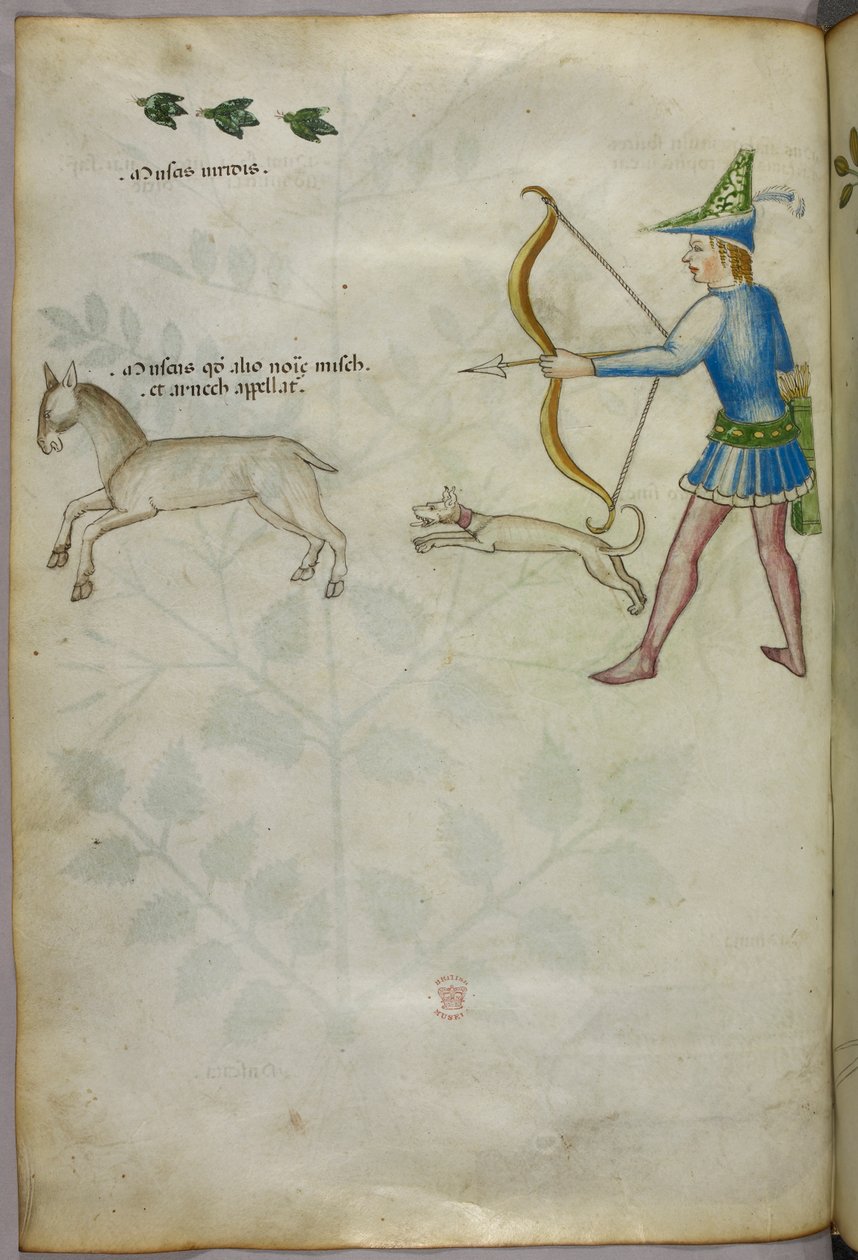 Illusztráció egy íjjal állatra lövő férfiról, fölötte kutyával és madarakkal, 1440 körül (tinta és szín, pergamen) alkotó: Italian School