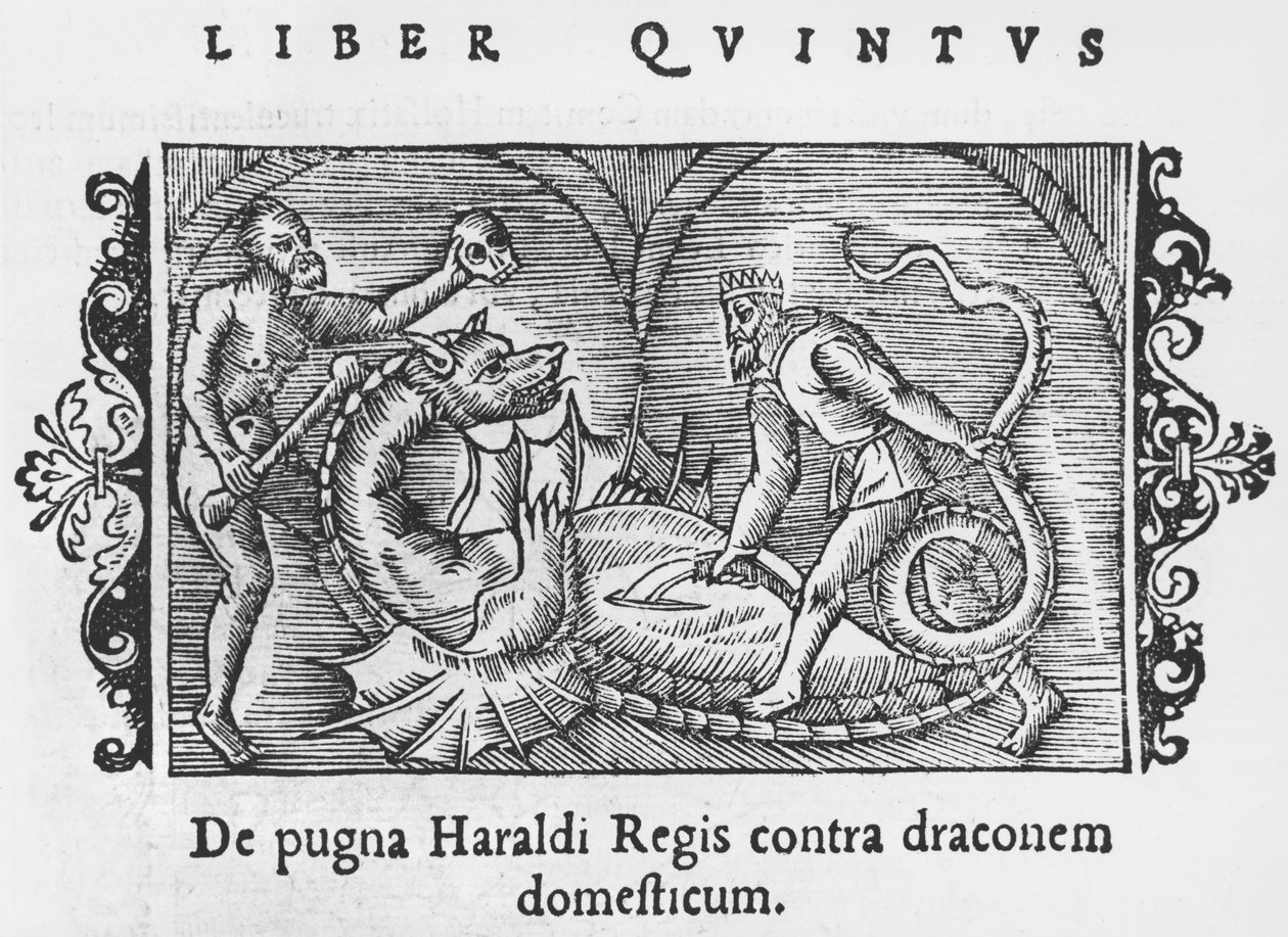 Harald király harcol egy sárkánnyal, illusztrációja Olaus Magnus (1490-1558) Az északi nemzetek története című könyvéből, megjelent Rómában, 1555 alkotó: Italian School