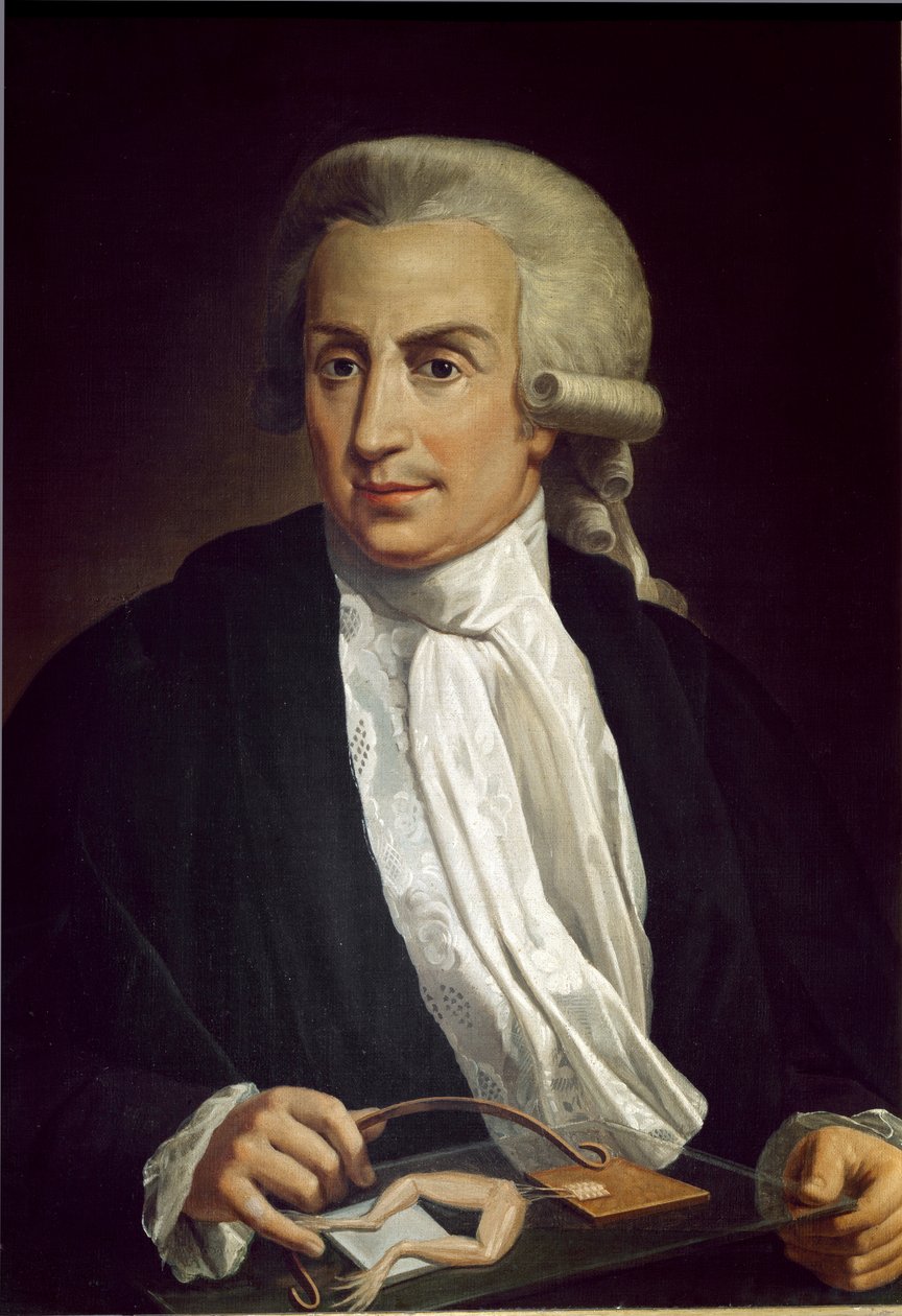 Luigi Galvani béka mintával alkotó: Italian School