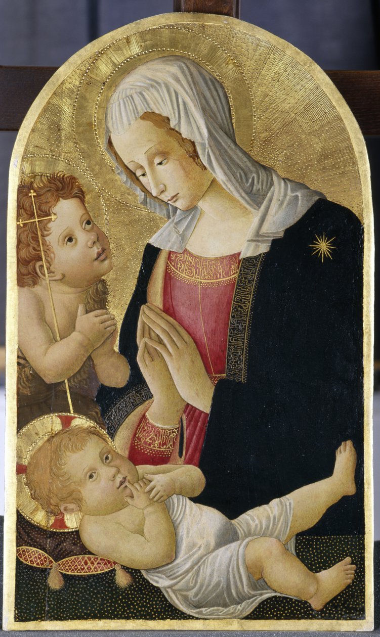 Madonna és gyermek Keresztelő Jánossal, 1460 körül (tempera nyárfán) alkotó: Italian School