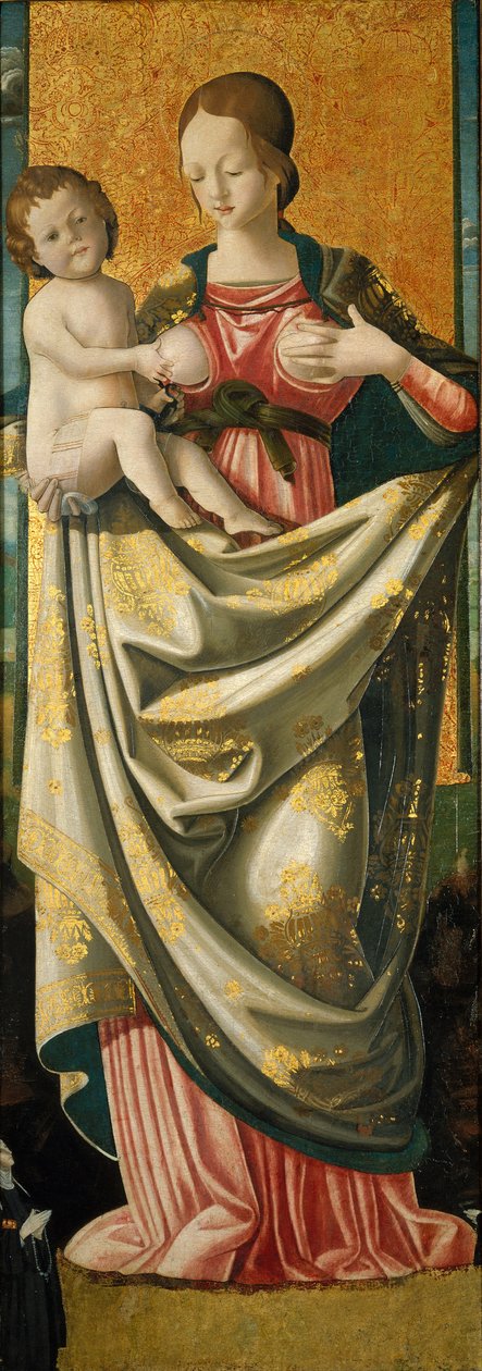 Madonna del Suffragio, 1520 körül (tempera keményfa panelen) alkotó: Italian School