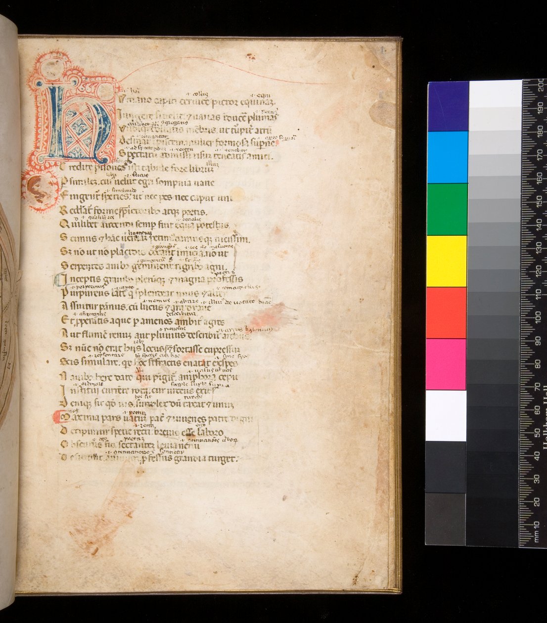 Ms 315. Horace, Ars Poetica and Epistulae, f.1r. Díszített kezdőbetű [N] kék és piros pelenkás betéttel és piros tollfestéssel alkotó: Italian School