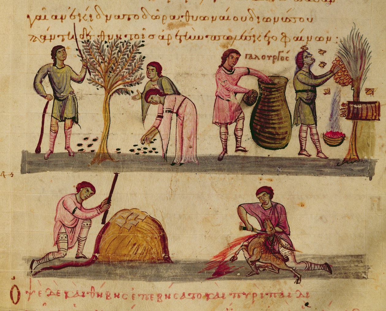 Ms Grec 479 Munka a szántóföldön, illusztráció Oppian Cynegetica című könyvéből (tempera pergamen) alkotó: Italian School