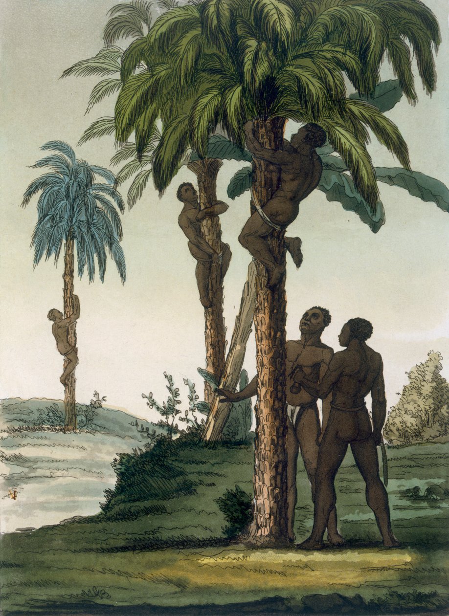 Az 1820-as évek 30-as éveiben a bennszülöttek tenyérre másznak, csípőköpenyekkel alkotó: Italian School