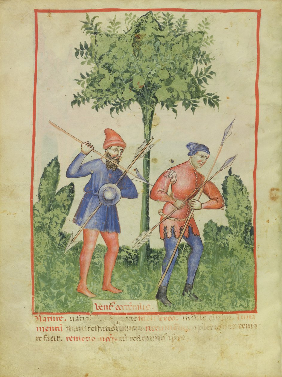 Nouv Acq Lat 1673 fol.100v The West Wind, Tacuinum Sanitatis, 1390-1400 körül alkotó: Italian School