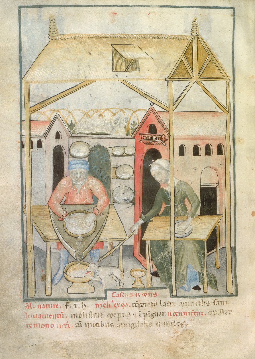 Nouv Acq Lat 1673 fol.58v Sajt készítése, Tacuinum Sanitatis, 1390-1400 körül alkotó: Italian School