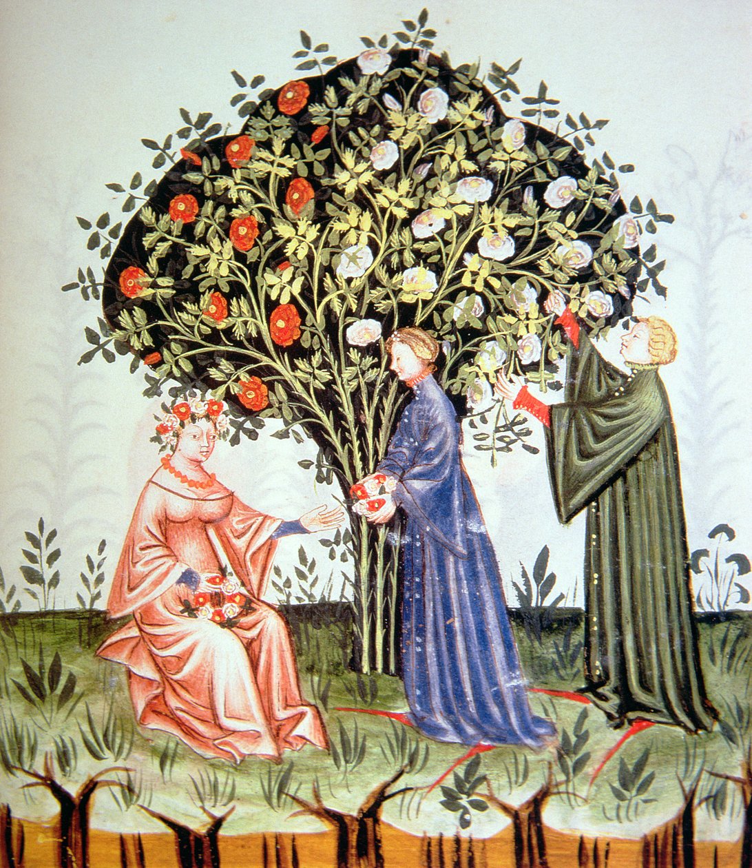 Nova 2644 fol.38r Gathering Roses, illusztráció a Tacuinum Santiatis Codex Vindobonensisből alkotó: Italian School