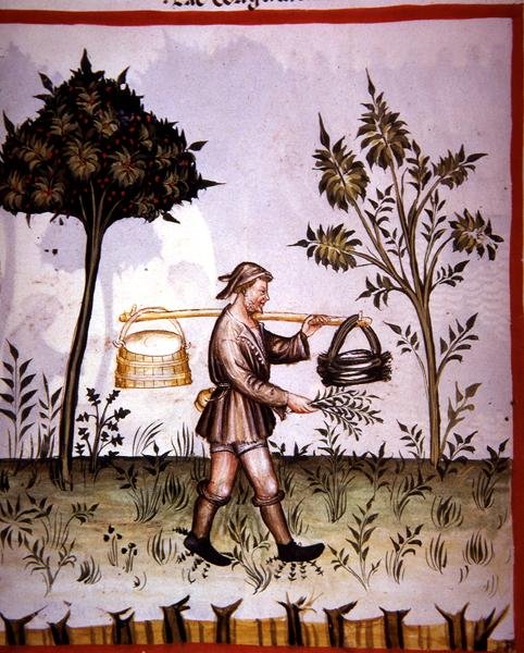 Nova 2644 fol.61v Aludttej, a „Tacunum Sanitatis”-tól (perszonhéjon) alkotó: Italian School