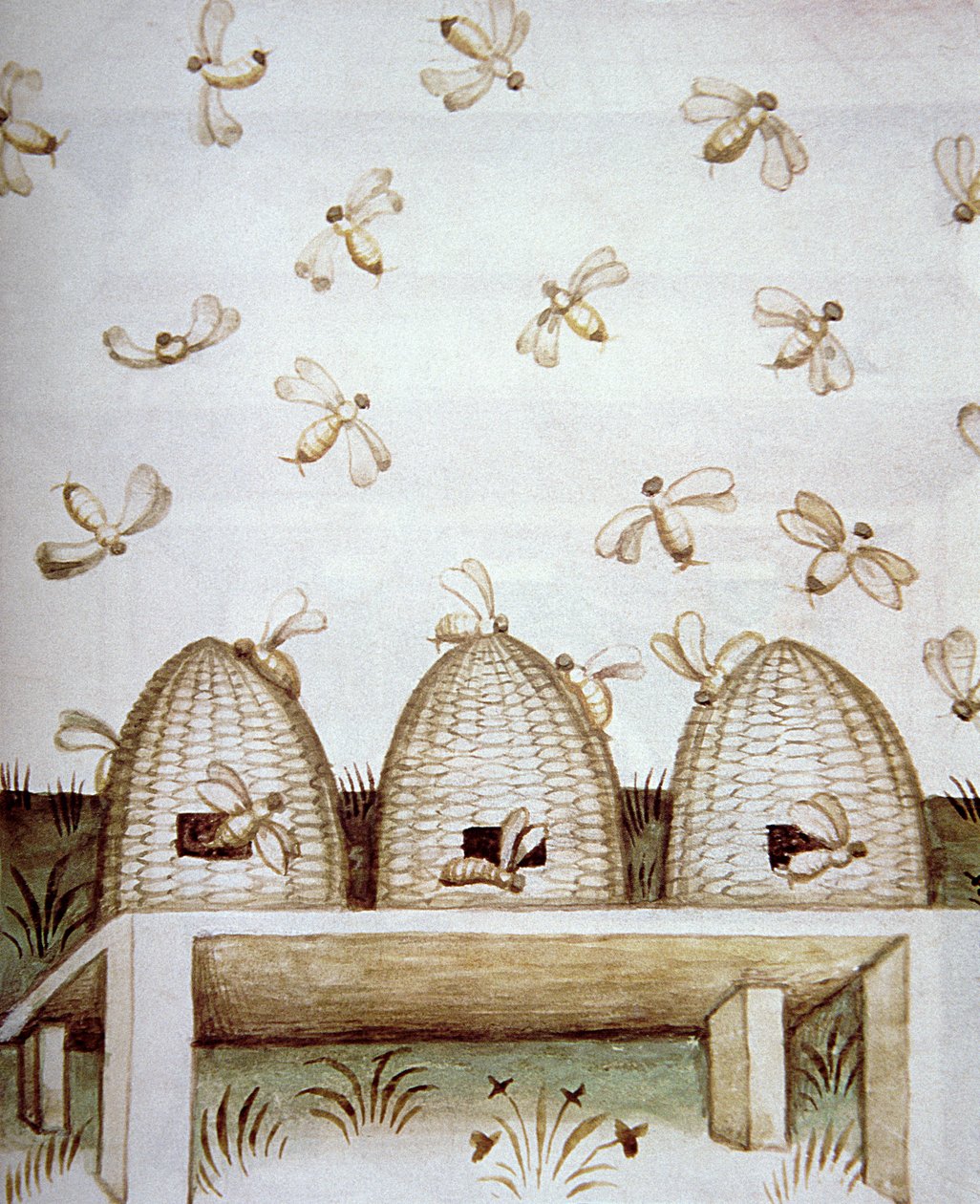 Nova 2644 fol.94v Beehves, a Tacuinum Sanitatis cégtől alkotó: Italian School