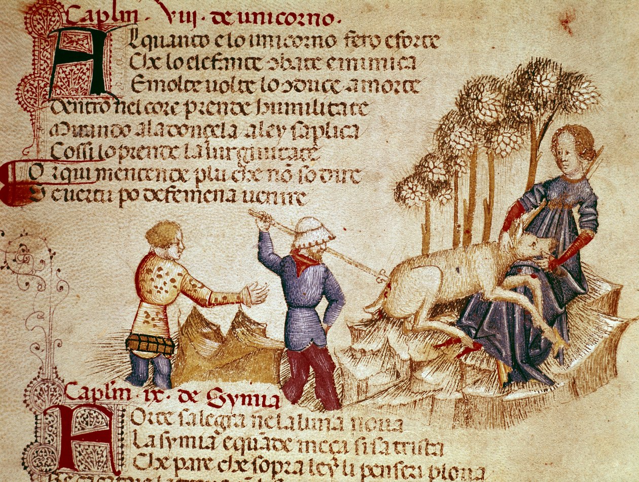 Ó, milyen büszke és erős az egyszarvú, amely ellen az elefánt harcol és ellenséges, és sokszor a halálba viszi! Az egyszarvú ábrázolása. Miniatúrák a "" L