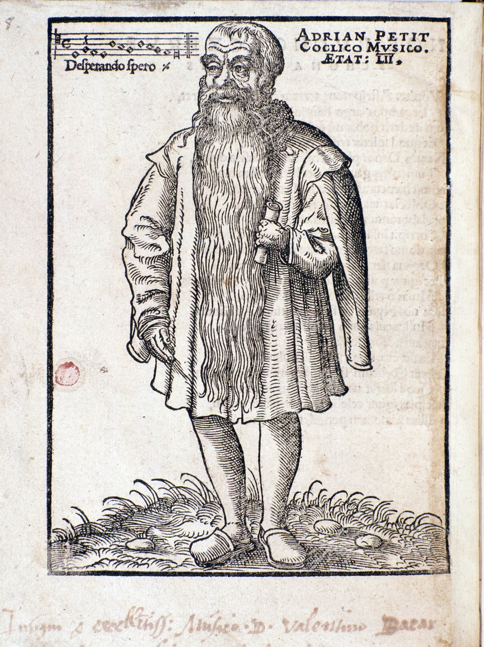 Adrianus Petit Coclico (1500-1562) portréja, a reneszánsz holland zeneszerzője. alkotó: Italian School