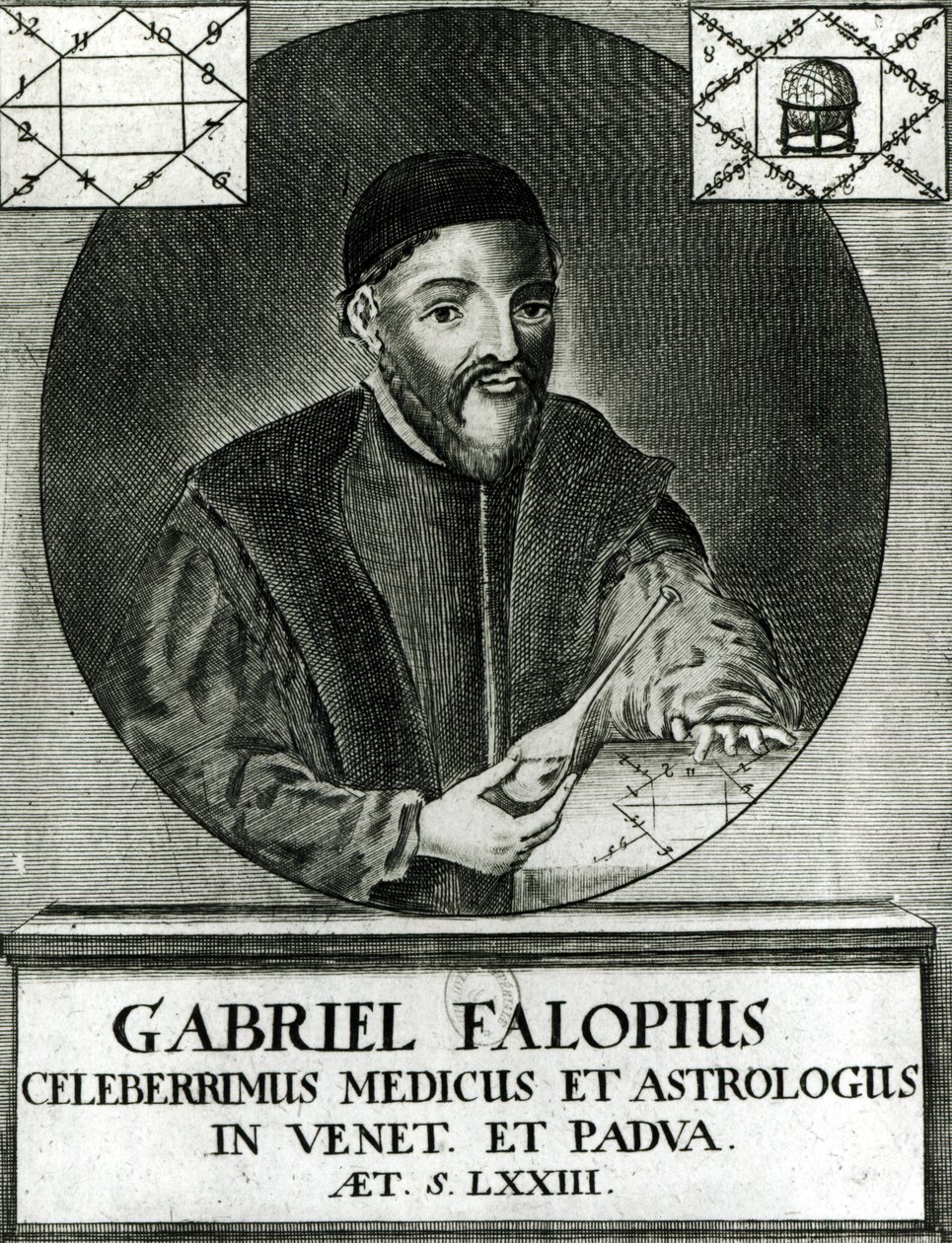 Gabriel Fallopius (1523-62) portréja alkotó: Italian School