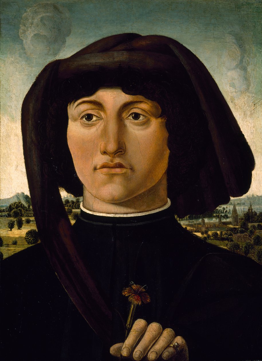 Rózsaszín virágos fiatalember portréja, 1475-85 körül (tempera fán) alkotó: Italian School
