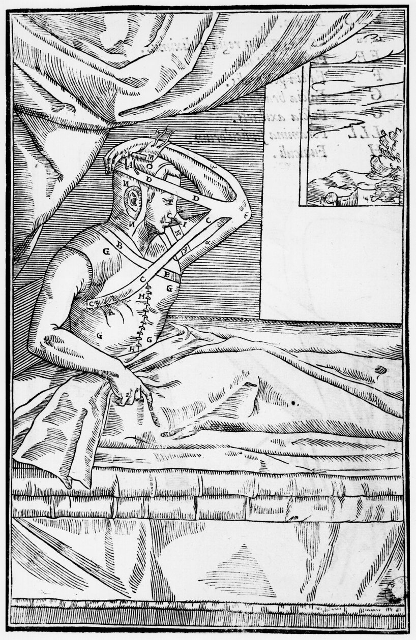 Helyreállító műtét az orron, illusztráció a De curtorum chirurgia per insitionemből, Gaspare Tagliacozzi (1545-99) Velence, megjelent 1597 alkotó: Italian School