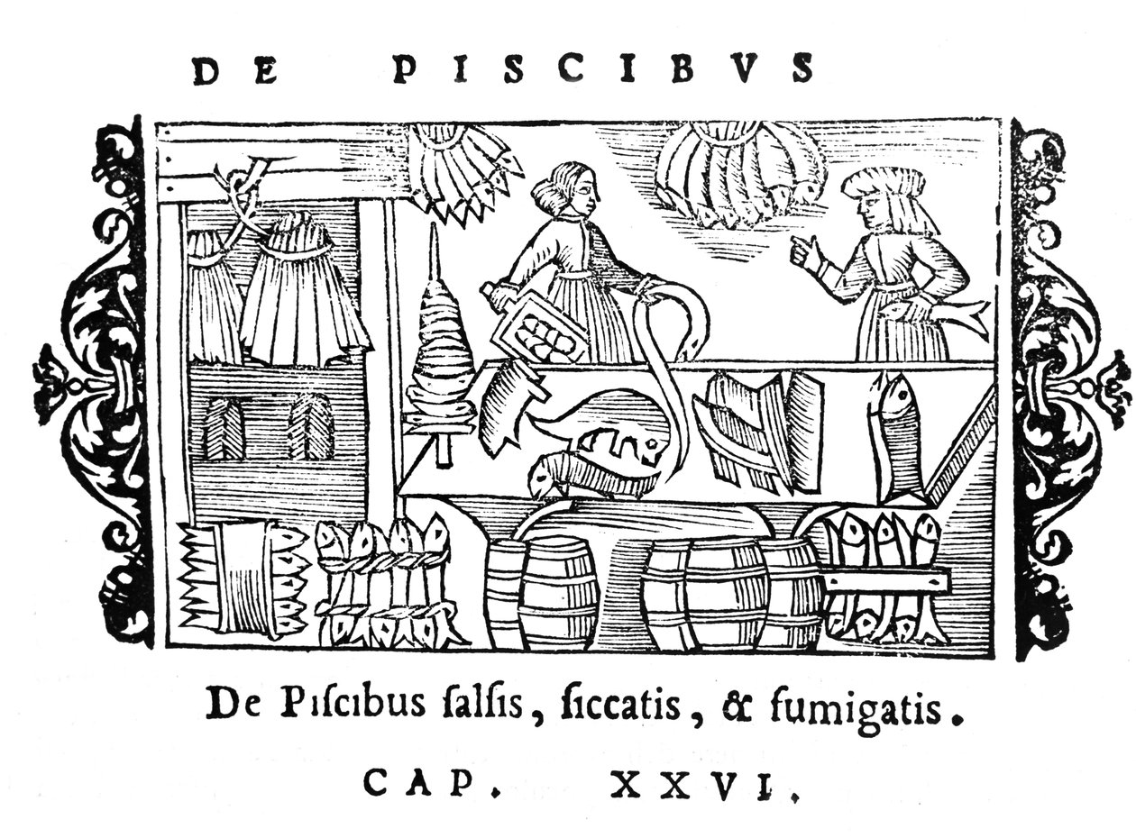 Hal sózása, szárítása és füstölése, illusztrációja Olaus Magnus (1490-1558) Historia de Gentibus Septentrionalibus című könyvéből, megjelent Rómában, 1555 alkotó: Italian School