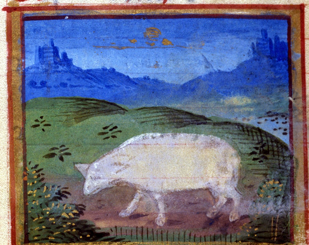 A kos jele. Olasz horoszkóp, 15. század közepe. alkotó: Italian School