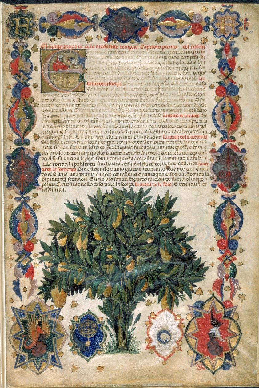 Szöveglap díszítő szegéllyel, illusztráció a 