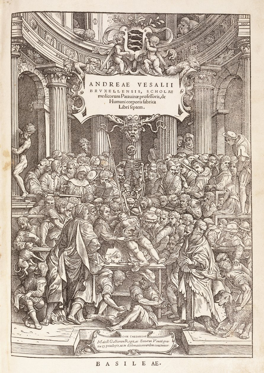 A szerző anatómiai boncolást végez egy sebészeti színházban, 1543 alkotó: Italian School
