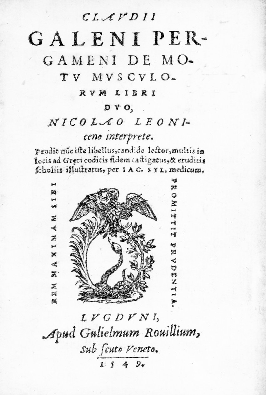 Címlap Claudius Galen 1549-ben megjelent Pergameni De Motu Musculi Libri Duo című művéhez, amely Claudius Galen műveiből készült (nyomtatott) alkotó: Italian School