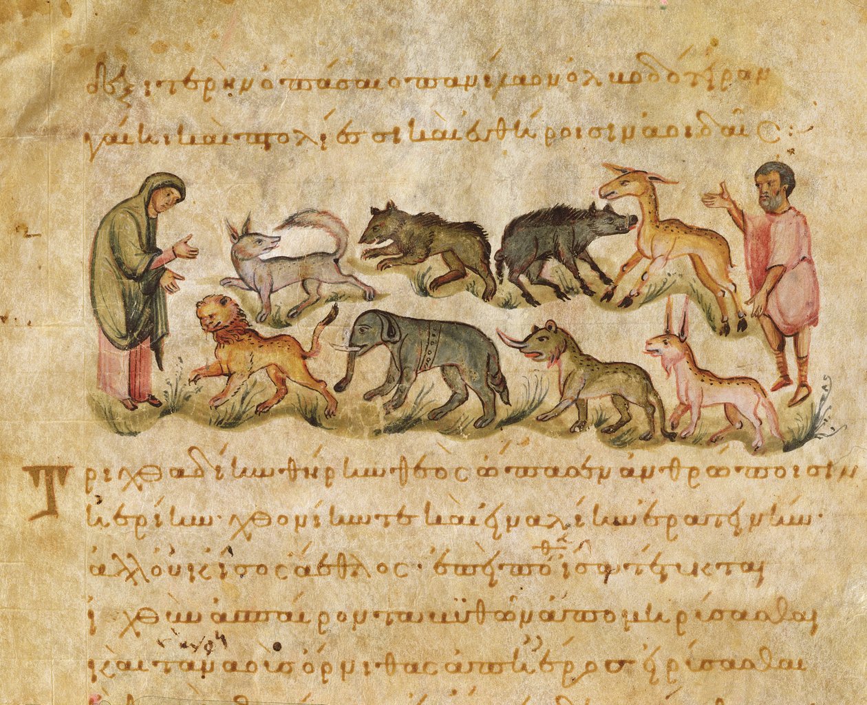 Értekezés a földön élő számos állatfajról, Oppianus illusztrációja a Cynegeticából (tempera pergamen) alkotó: Italian School
