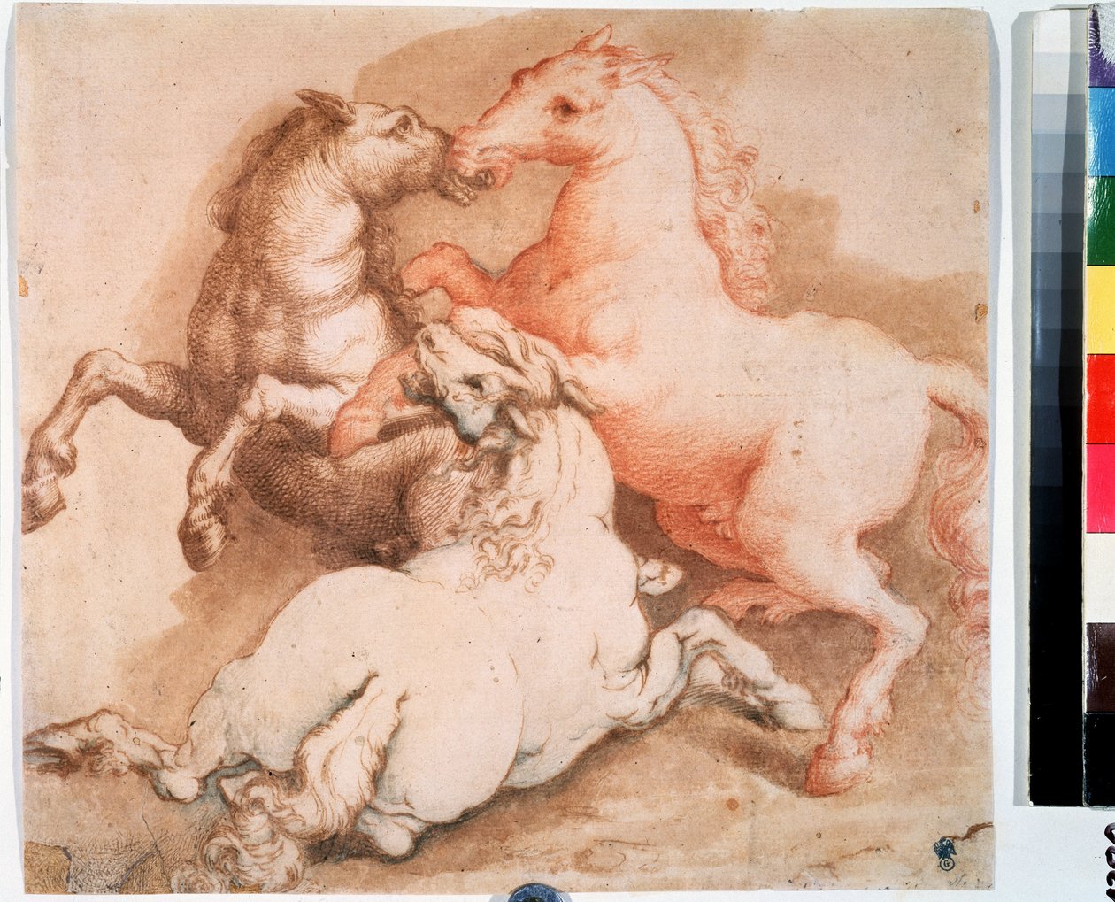 ""Lóharc"" (Fighting horses) Tollrajz, az olasz iskola tusa. 1550-1600 Puskin Múzeum, Moszkva alkotó: Italian School