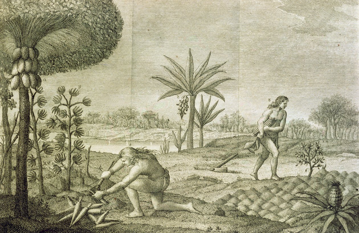 Az Orinoco és az Amazonas (Maranon) medencéiben élő indiánok különféle zöldségnövényei alkotó: Italian School