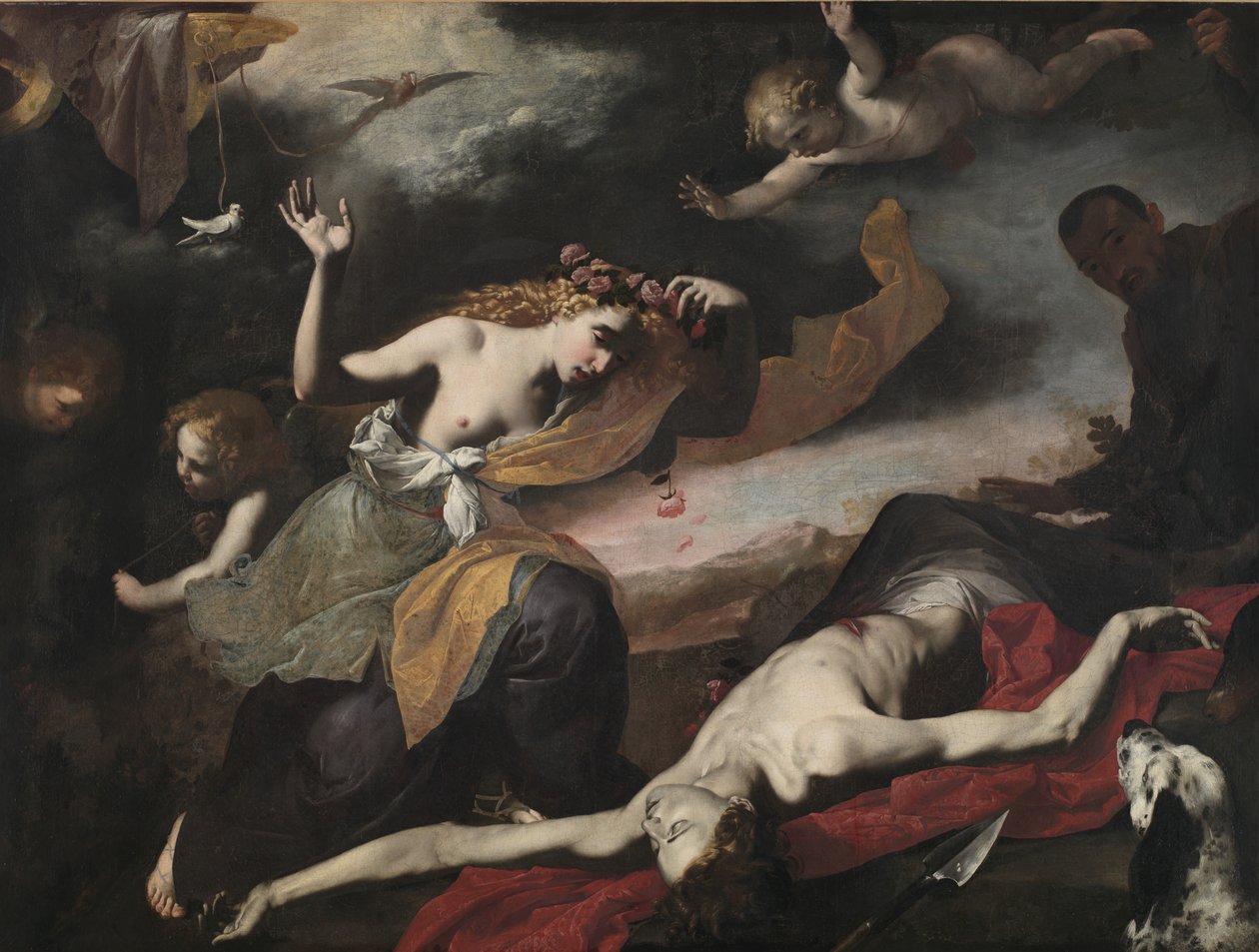 Vénusz felfedezi a halottakat Adonisz, 1650 körül alkotó: Italian School