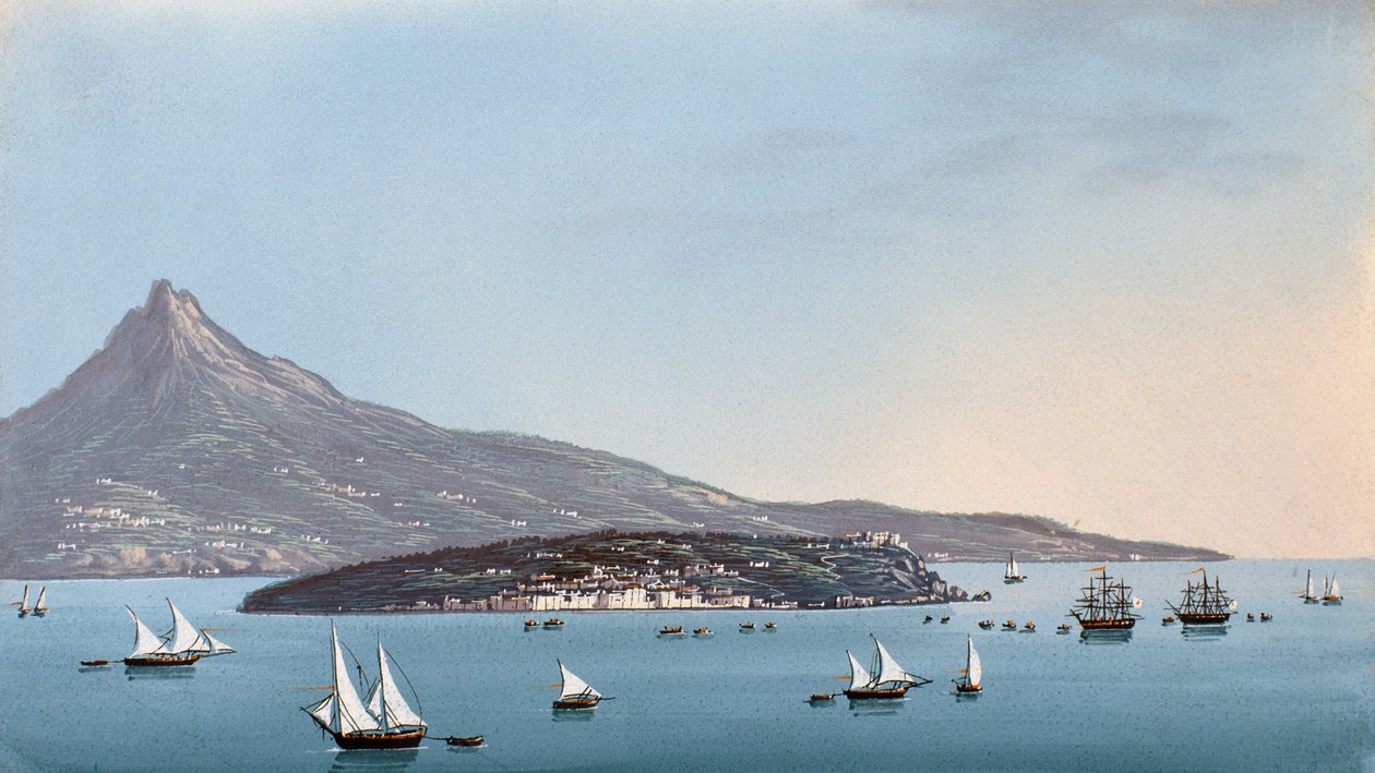 Kilátás Nápolyra (guache) alkotó: Italian School