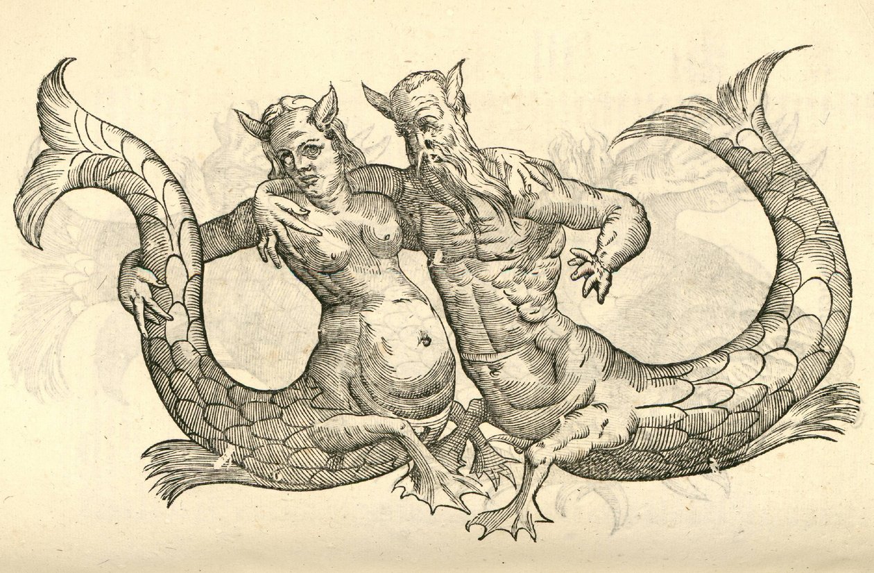 Monstra Niliaca Parei illusztrációja az Aldrovandis History of Monsters-ből, 1642 alkotó: Italian School