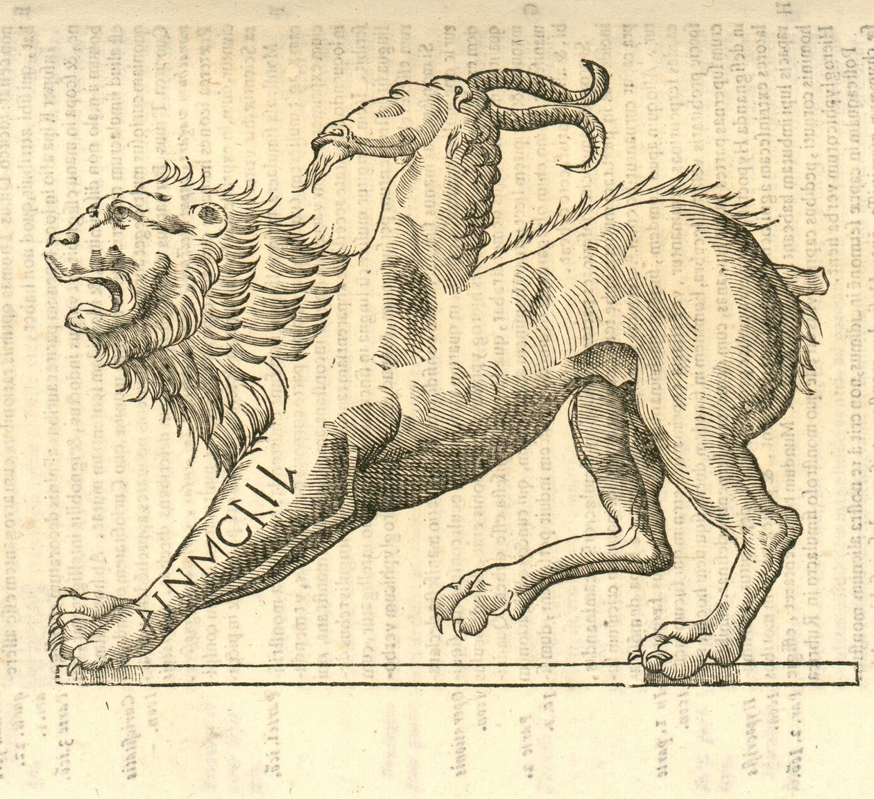 Monstrosae cuiusdam Chimaerae illusztrációja az Aldrovandis Szörnyek története , 1642 - ből alkotó: Italian School