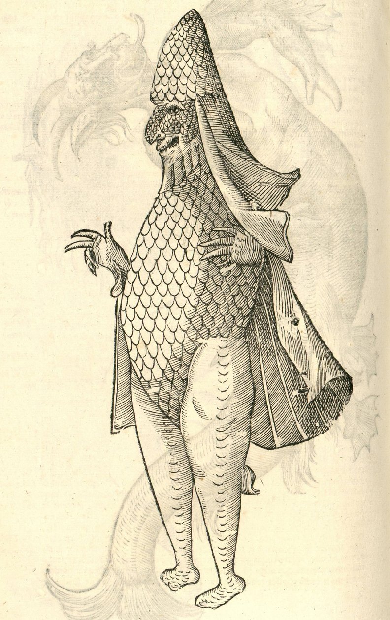 Monstro Marinus illusztrációja az Aldrovandis History of Monsters-ből, 1642 alkotó: Italian School