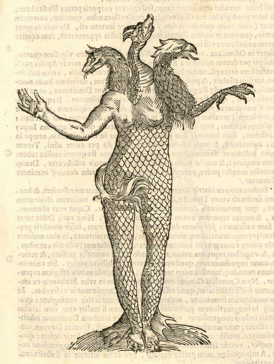egy háromfejű szörnyeteg illusztrációja róka, sárkány és sas fejével az Aldrovandis History of Monsters című könyvéből, 1642 alkotó: Italian School