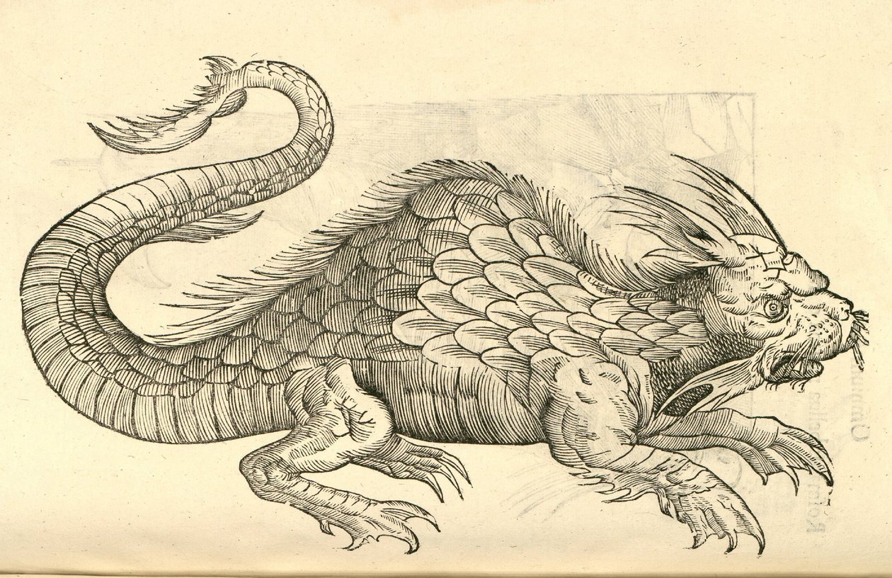Orobonis Piscis képmások illusztrációja az Aldrovandis A szörnyek története című művéből , 1642 alkotó: Italian School