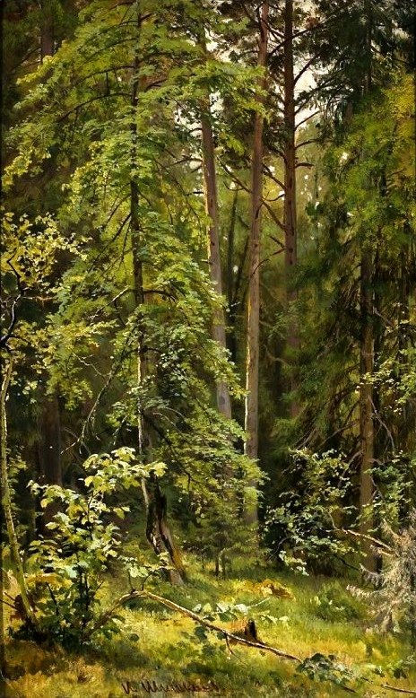 Erdő. alkotó: Ivan Ivanovich Shishkin