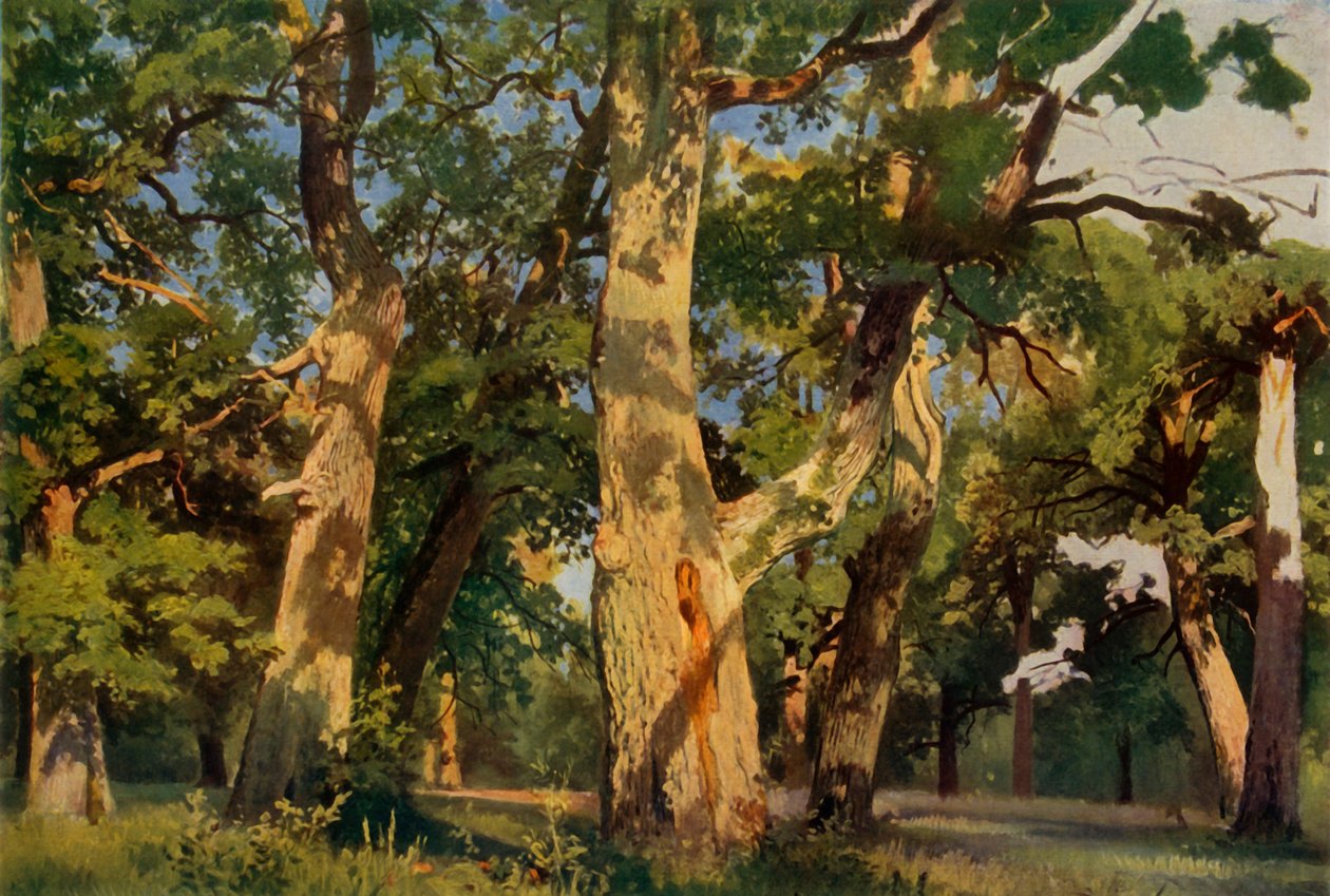 Oak Trees at Eventide, 1887, 1965. alkotó: Ivan Ivanovich Shishkin