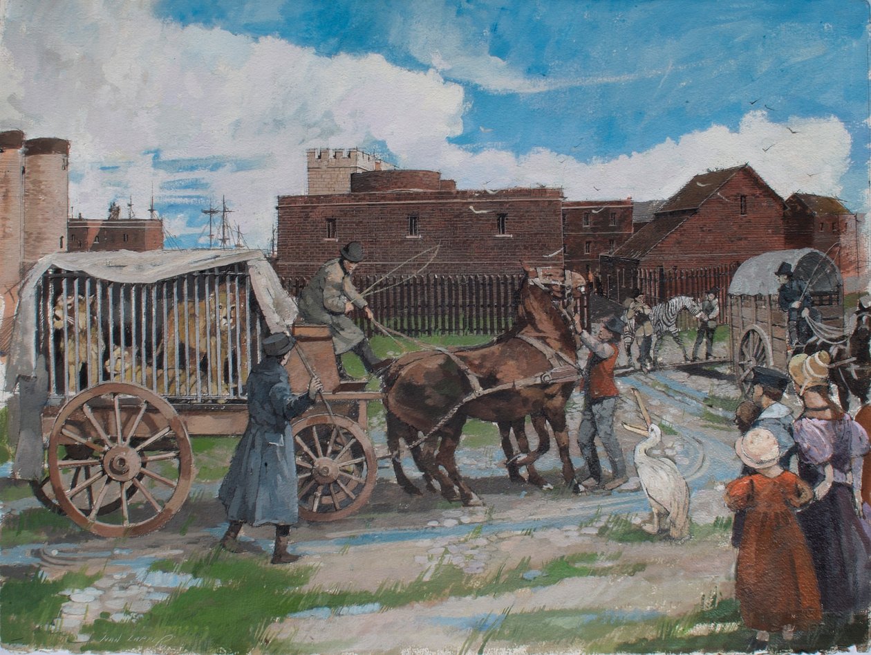 A londoni Towerből 1841 körül távozó királyi menazsorból származó állatok rekonstruált látképe alkotó: Ivan Lapper