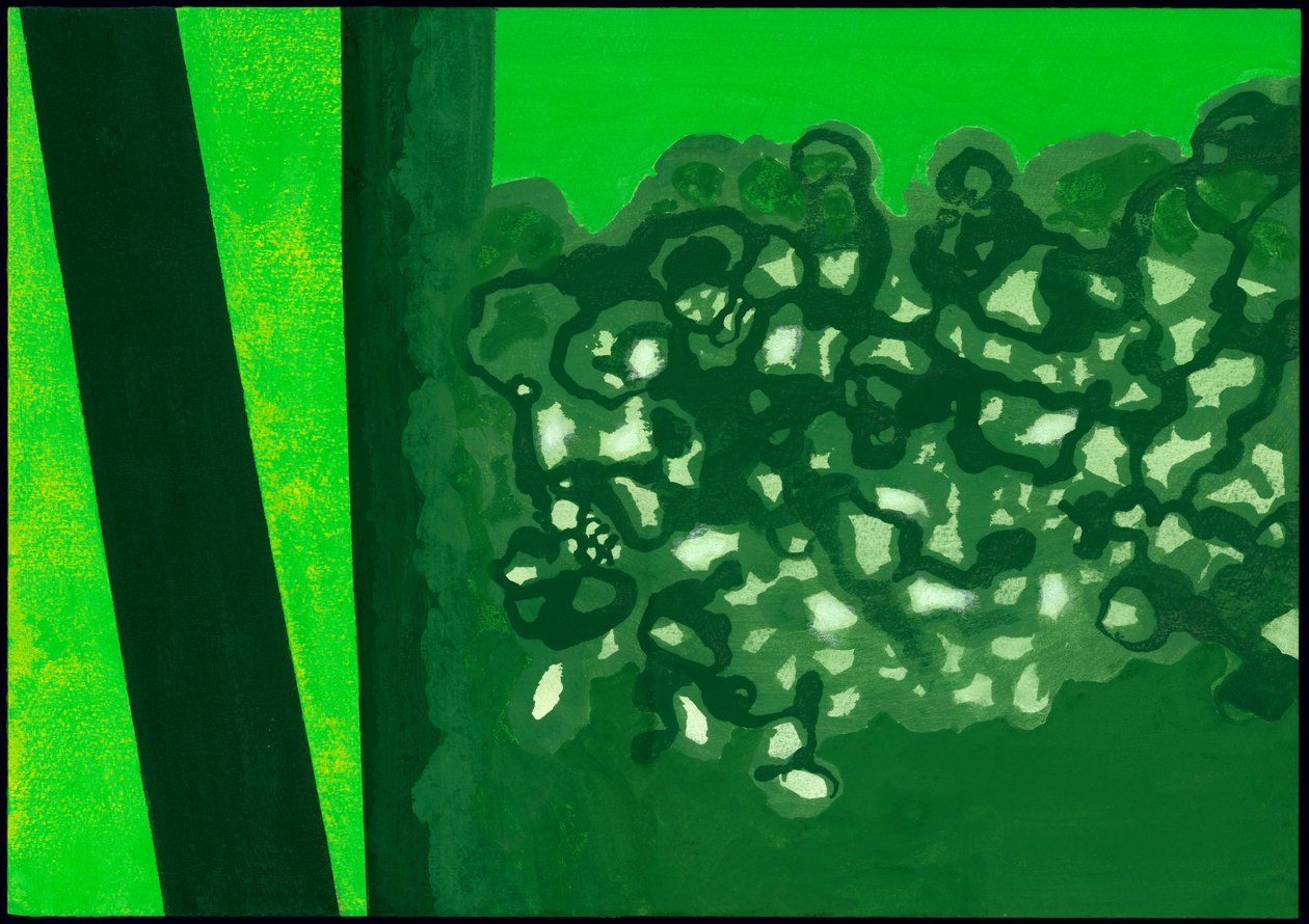 Kensington Gardens sorozat: Canopy Shadows, 2007 (vegyes média papíron) alkotó: Izabella Godlewska de Aranda