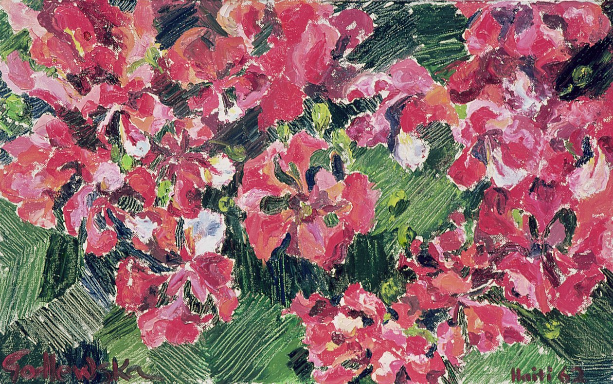 Rhododendron, 1962 alkotó: Izabella Godlewska de Aranda