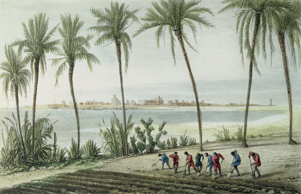 Cádiz általános képe, metszett John Pye (1782-1874) alkotó: J. Taylor