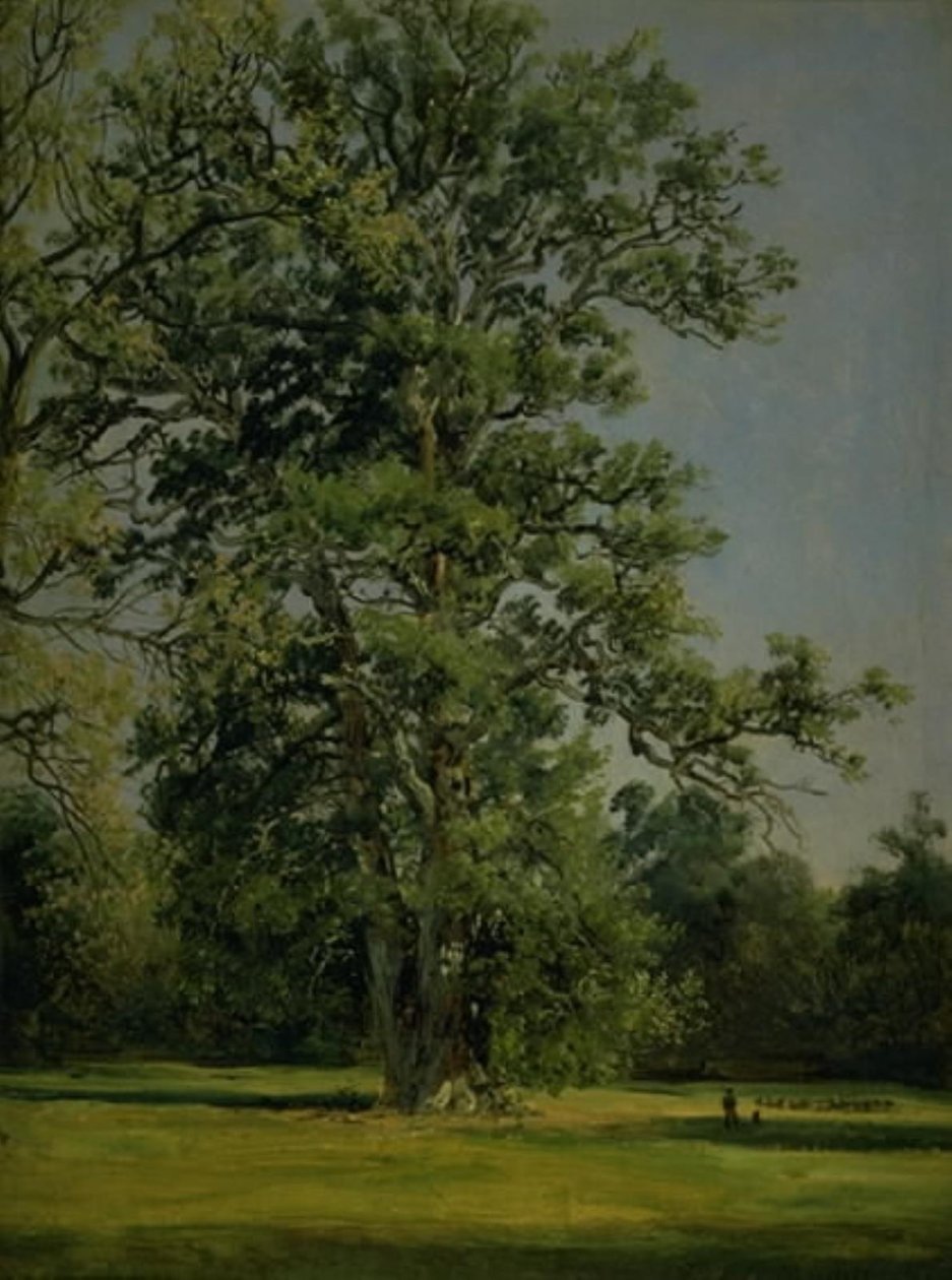 Egy tölgy. Kilátás a Dessau melletti Wörlitz kertjére alkotó: Johan Christian Dahl