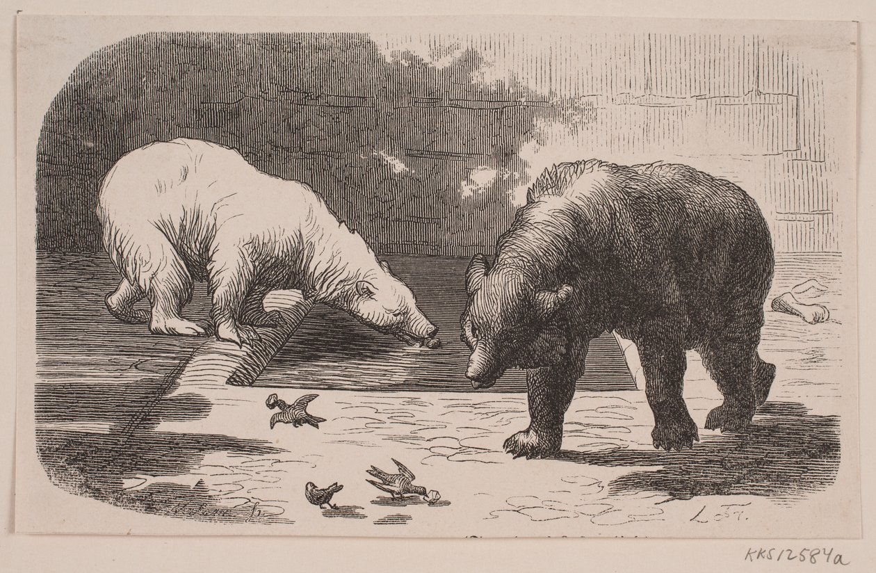 Medvék a Jardin des Plantes-ban alkotó: J.C. Nielsen