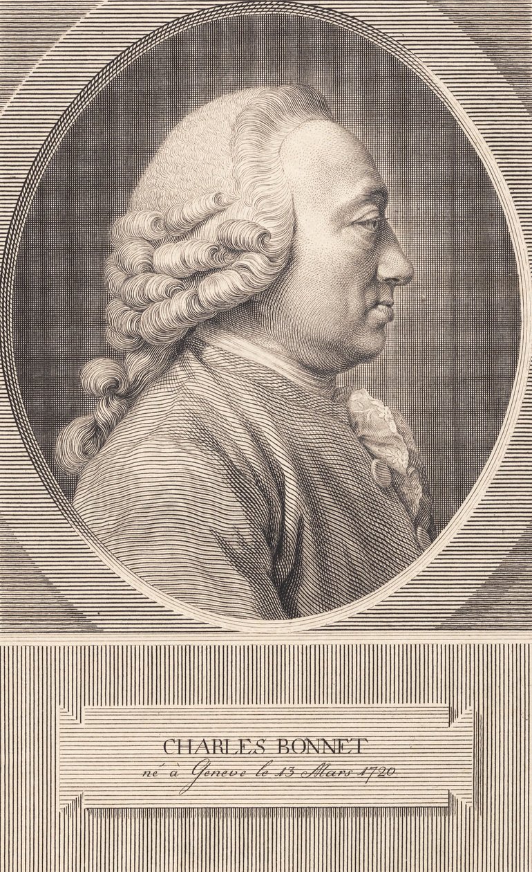 Charles Bonnet alkotó: J.F. Clemens