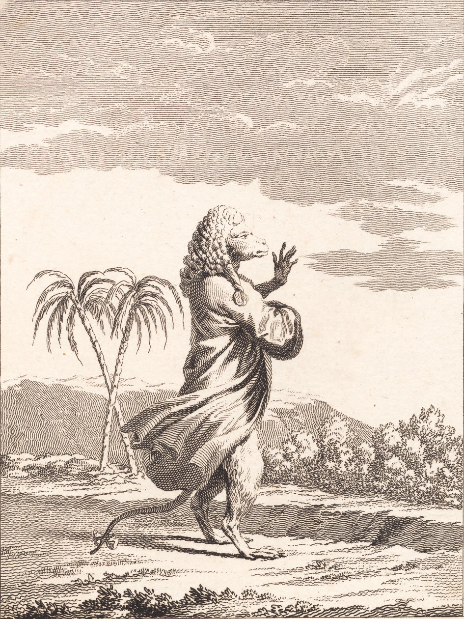 Martiniai majom macska alkotó: J.F. Clemens