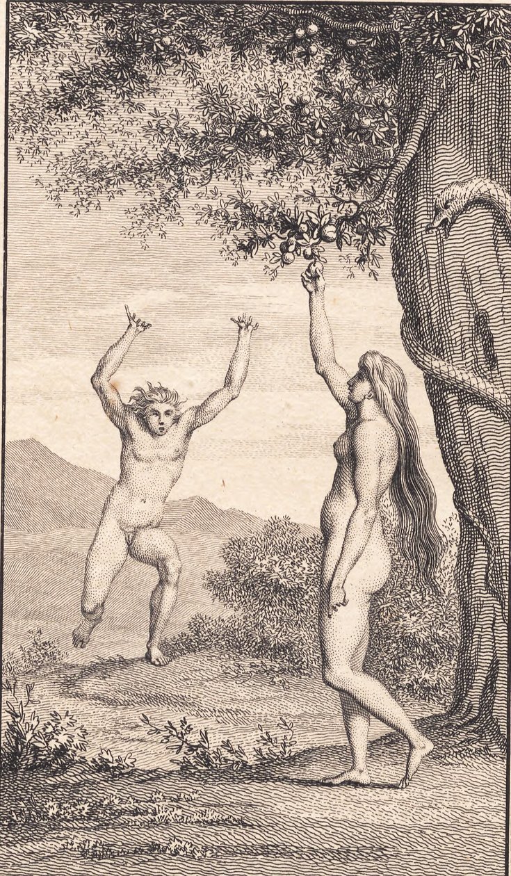 Illusztráció Ewald „Ádám és Éva” című művéhez. III alkotó: J.F. Clemens