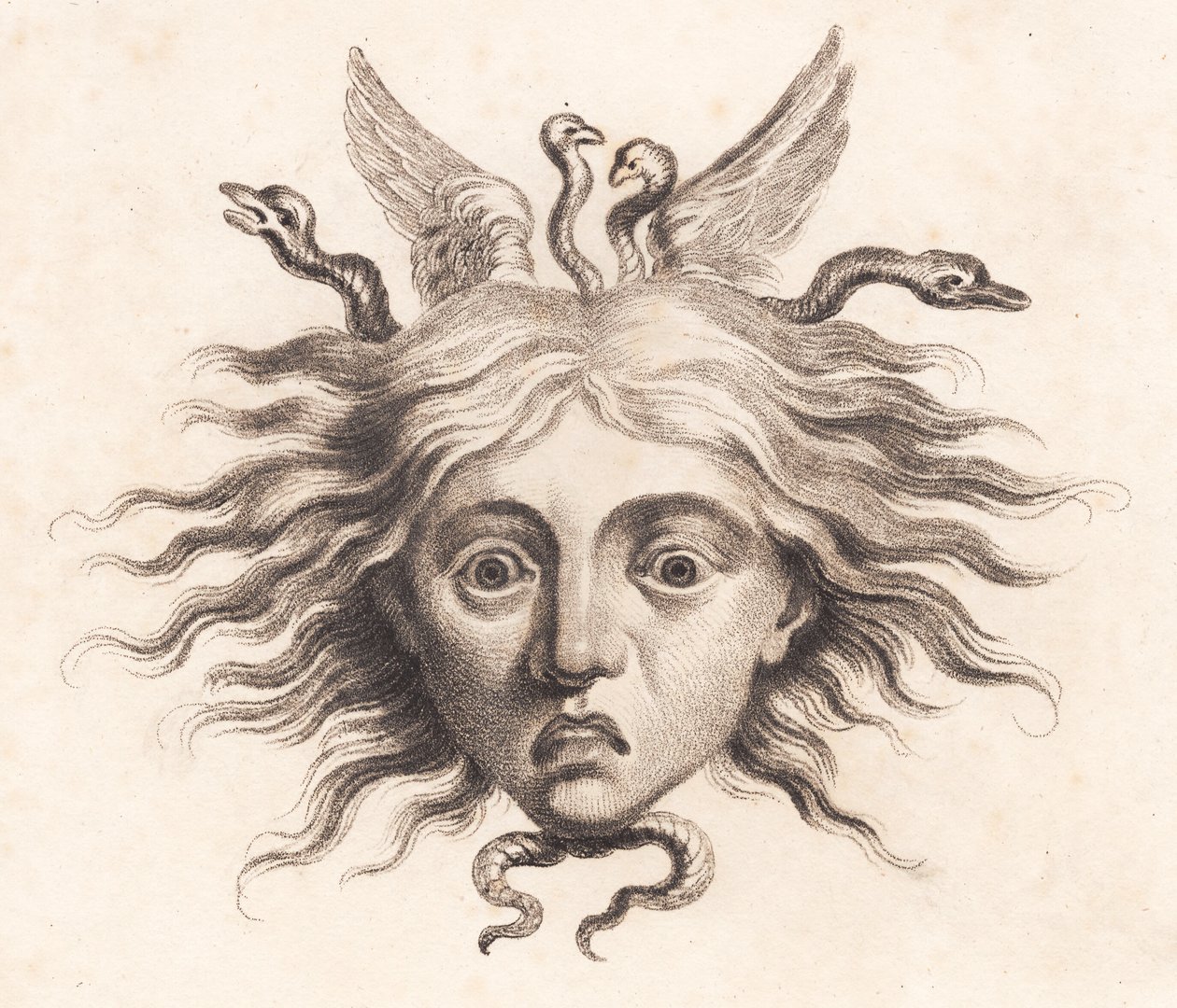 Medusahoved alkotó: J.F. Clemens