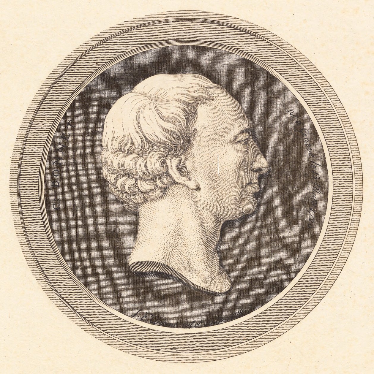 Relief Medallion Bonnet portréjával alkotó: J.F. Clemens